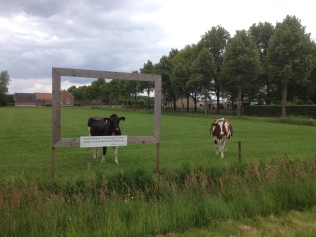 landschapsschilderij wordt dagelijks door onze koeien geinspecteerd